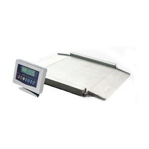 Walkthrough Platform with A12SS Indicator Stainless Steel 1200mm x 1200mm