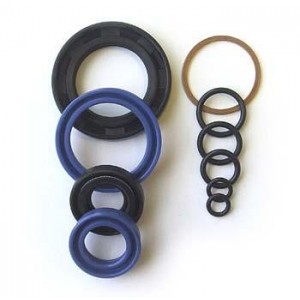 Scissor Lift Truck Seal Kit