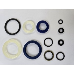 Seal Kit for DF Pump Unit