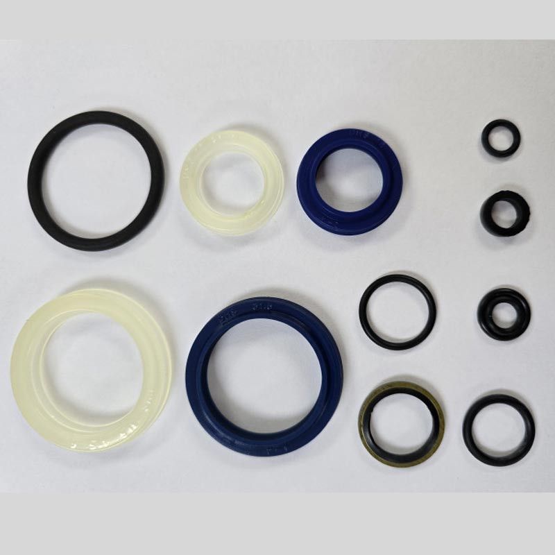Seal Kit for DF Pump Unit
